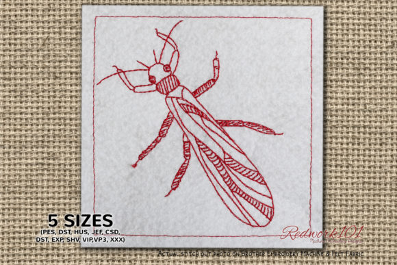 Stoneflies Insect Bluework: A Sweatshirt Design Review