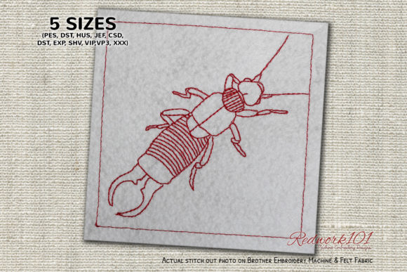 Wild Earwig Lineart: A Charming Addition to Embroidery